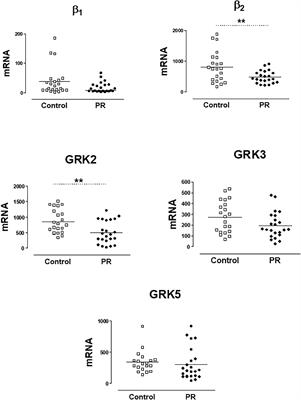 β2-Adrenoceptors and GRK2 as Potential Biomarkers in Patients With Chronic Pulmonary Regurgitation